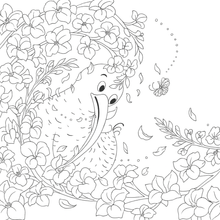 Load image into Gallery viewer, My Kiwi Garden: Colouring Book