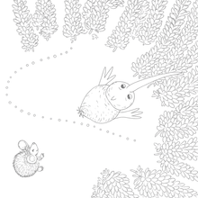 Load image into Gallery viewer, My Kiwi Garden: Colouring Book