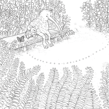 Load image into Gallery viewer, My Kiwi Garden: Colouring Book