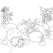 Load image into Gallery viewer, My Kiwi Garden: Colouring Book