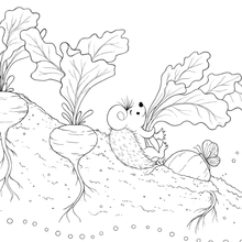 Load image into Gallery viewer, My Kiwi Garden: Colouring Book