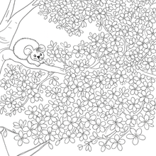 Load image into Gallery viewer, My Kiwi Garden: Colouring Book