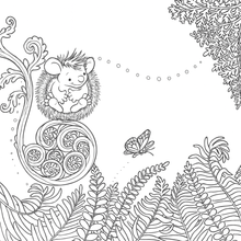 Load image into Gallery viewer, My Kiwi Garden: Colouring Book