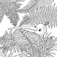 Load image into Gallery viewer, My Kiwi Garden: Colouring Book