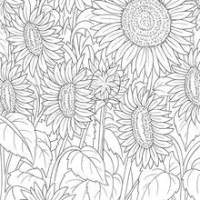 Load image into Gallery viewer, My Kiwi Garden: Colouring Book