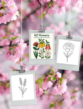 Load image into Gallery viewer, Dementia Friendly NZ Flowers Colouring Book
