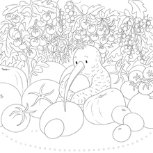 Load image into Gallery viewer, My Kiwi Garden: Colouring Book

