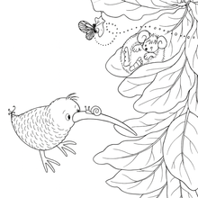 Load image into Gallery viewer, My Kiwi Garden: Colouring Book
