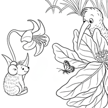 Load image into Gallery viewer, My Kiwi Garden: Colouring Book

