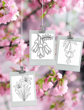 Load image into Gallery viewer, Dementia Friendly NZ Flowers Colouring Book
