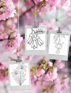 Dementia Friendly NZ Flowers Colouring Book