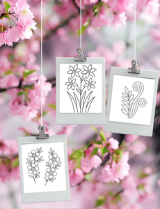 Dementia Friendly NZ Flowers Colouring Book