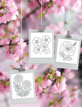 Load image into Gallery viewer, Dementia Friendly NZ Flowers Colouring Book
