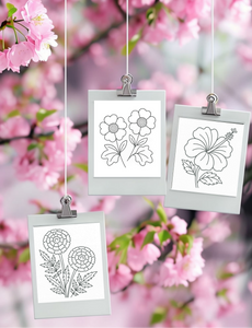 Dementia Friendly NZ Flowers Colouring Book