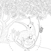 Load image into Gallery viewer, My Kiwi Garden: Colouring Book
