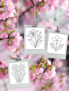 Dementia Friendly NZ Flowers Colouring Book