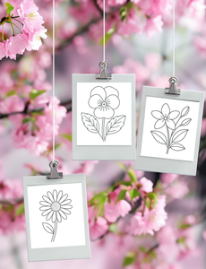 Dementia Friendly NZ Flowers Colouring Book