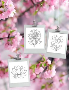 Dementia Friendly NZ Flowers Colouring Book