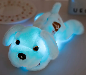 Grief Support Light Up Puppy