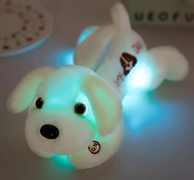 Load image into Gallery viewer, Grief Support Light Up Puppy
