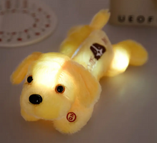 Load image into Gallery viewer, Grief Support Light Up Puppy
